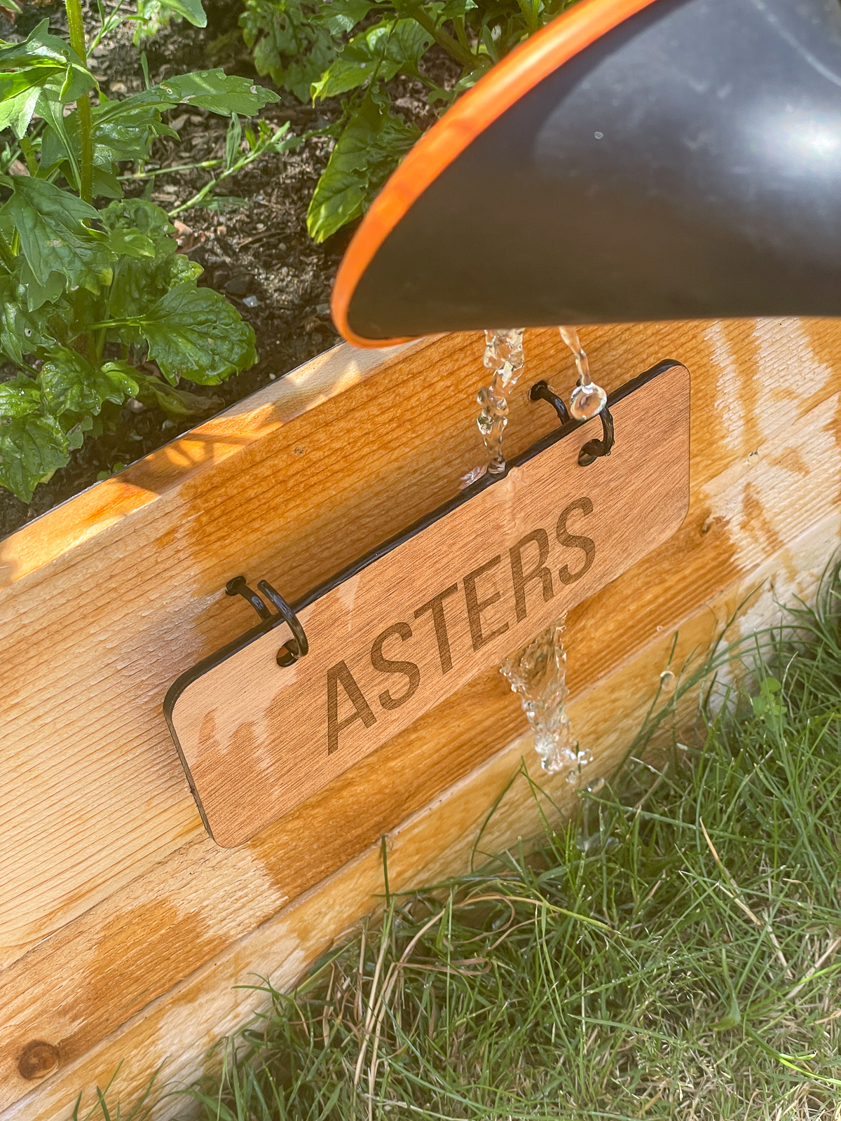 DIY garden label getting wet from watering can